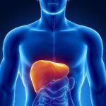 HEPATOLOGIE