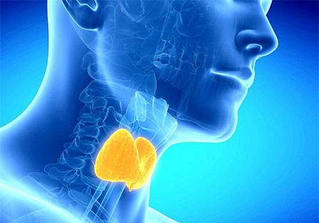 эндокринология